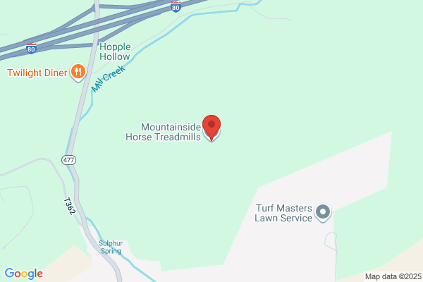 Mountainside Horse Treadmills LLC