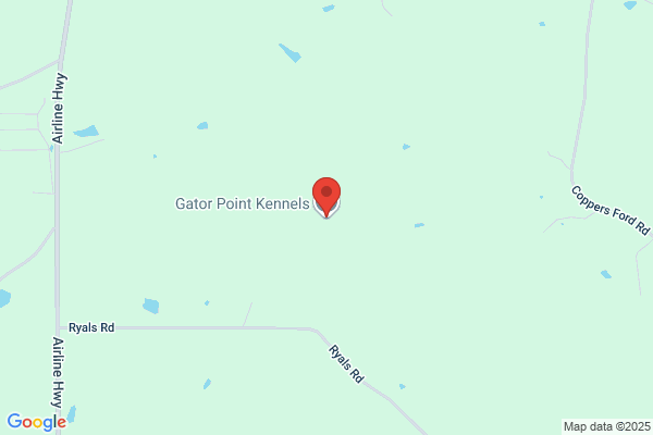 Gator Point Kennels
