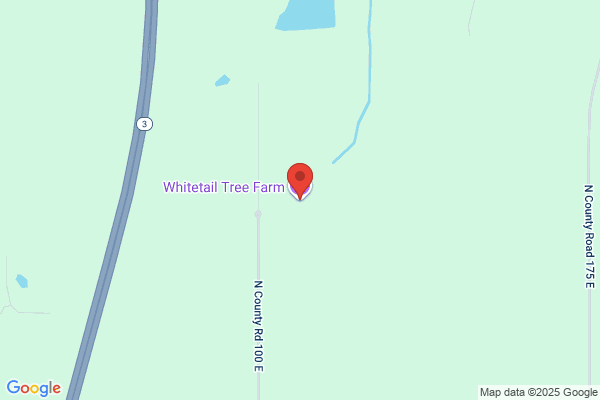 Arrowhead Tree Farm