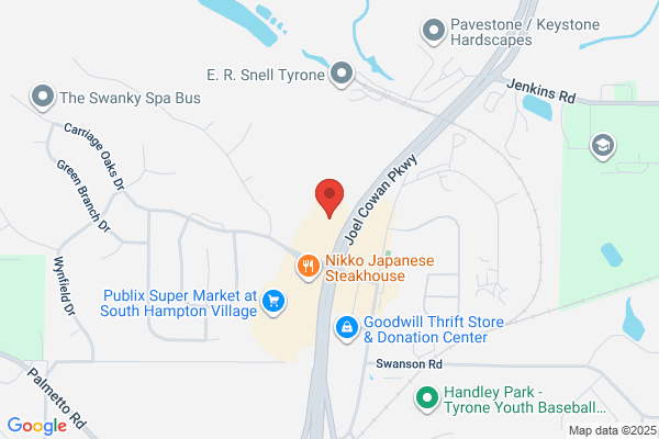 Advance Auto Parts