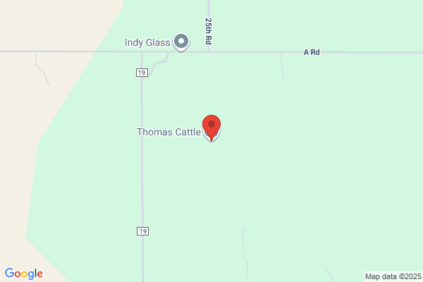 Thomas Cattle Co