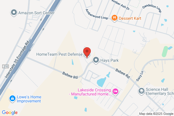 HomeTeam Pest Defense