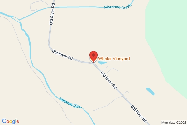 Whaler Vineyard