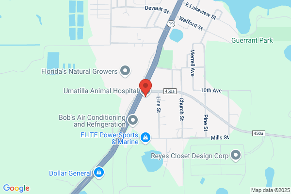 Animal Hospital of Umatilla