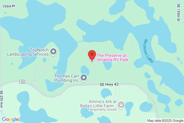 Ocala Forest Campground
