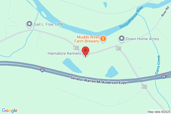 Hannalore Kennels