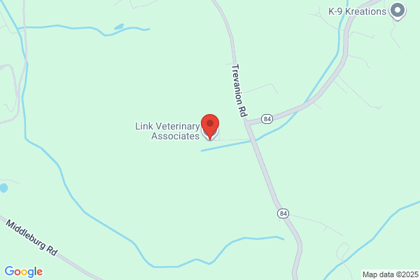 Link Veterinary Associates