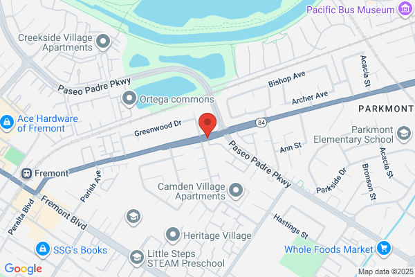 Ferguson Lara PHD