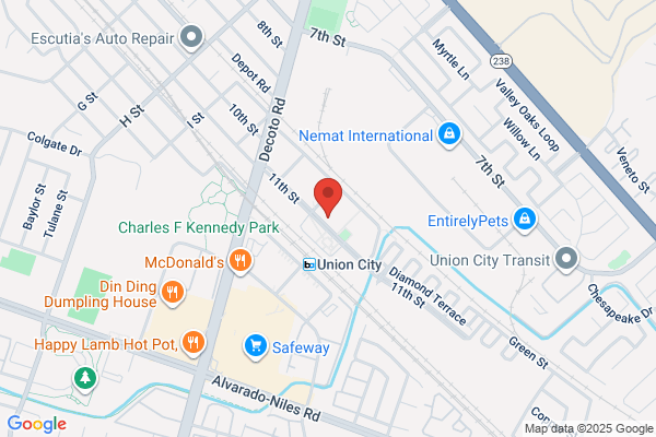 Sams Tree Service Union City