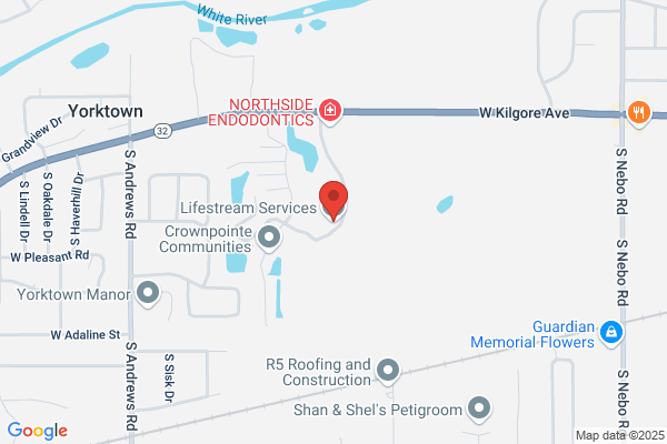 Lifestream Services Inc