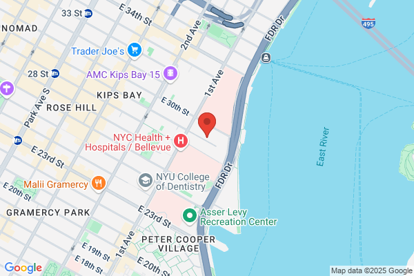 Manhattan Carpet & Upholstery Cleaning