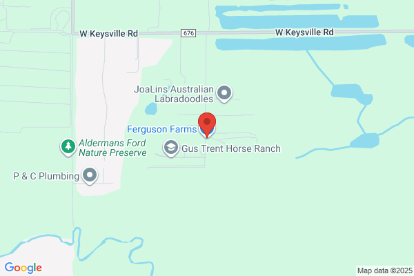 Ferguson Farms