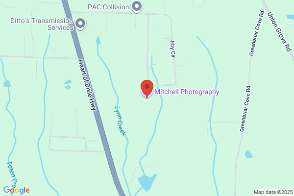 Mitchell Photography
