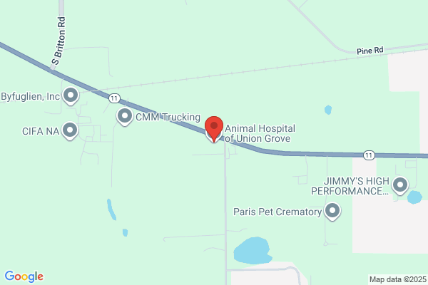 Animal Hospital of Union Grove