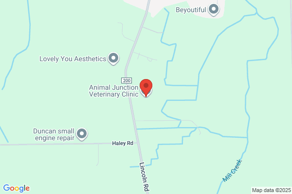 Animal Junction Veterinary