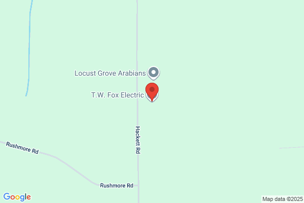 Toho Electric Inc