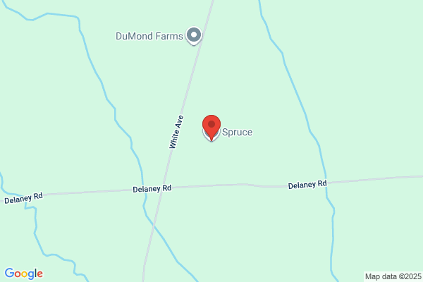 Spruce Haven Farm
