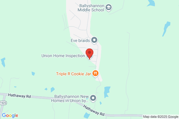 1st Inspection Services
