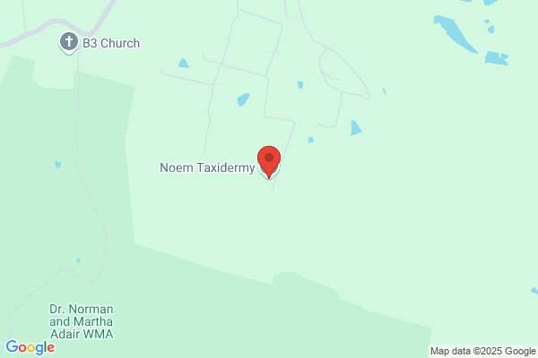 Noem Taxidermy
