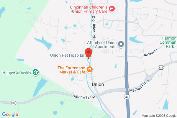 Union Pet Clinic