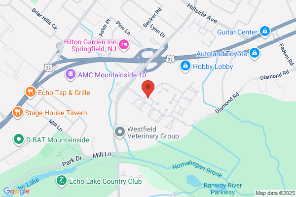 Alex On Time Painting Co