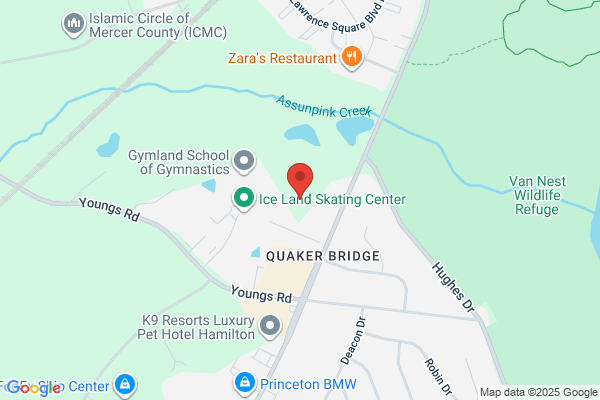 Princeton Neurological Surgery