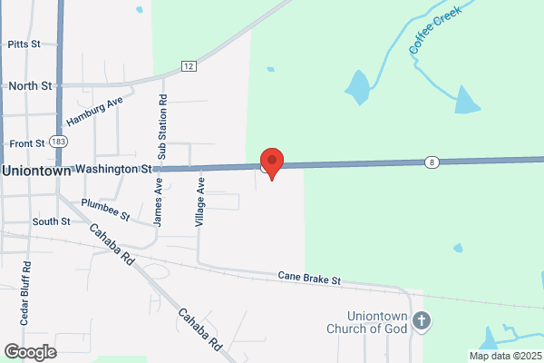 Melvin Estrict, Washington National Agent