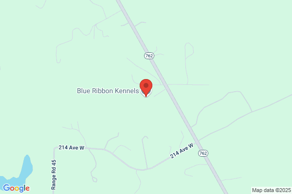Blue Ribbon Kennels