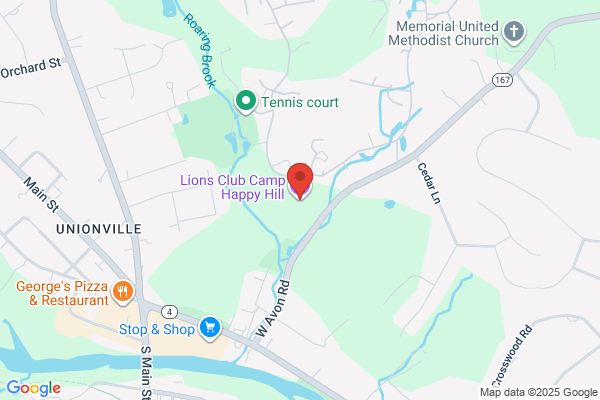 Unionville Lions Club