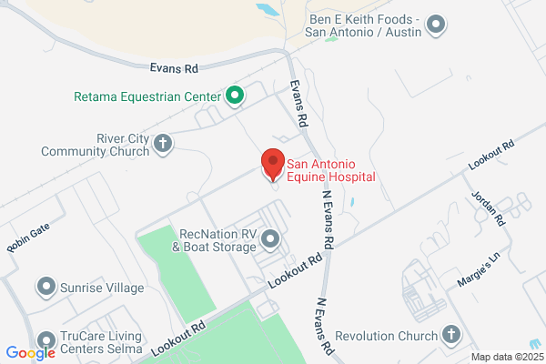 Retama Equine Hospital