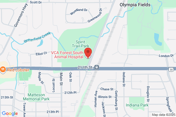 VCA Forest South Animal Hospital