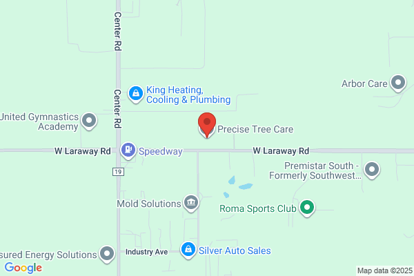Precise Tree Care