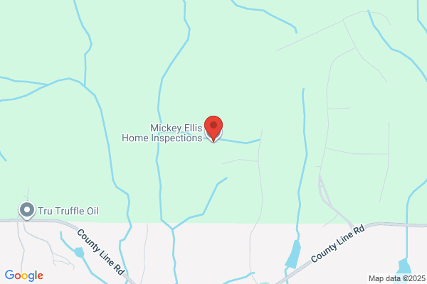Mickey Ellis Home and Commercial Inspections