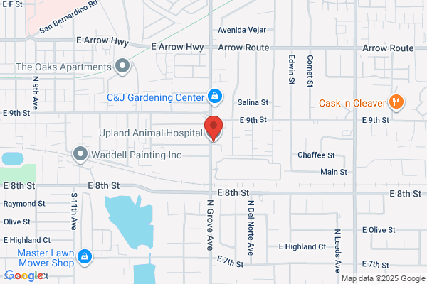 Upland Animal Hospital