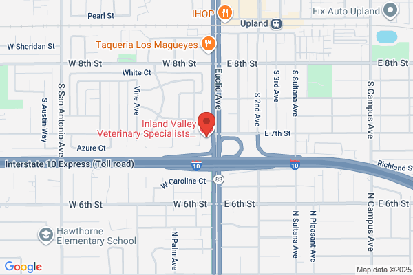 Inland Valley Veterinary Specialists