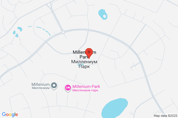Millennium Company