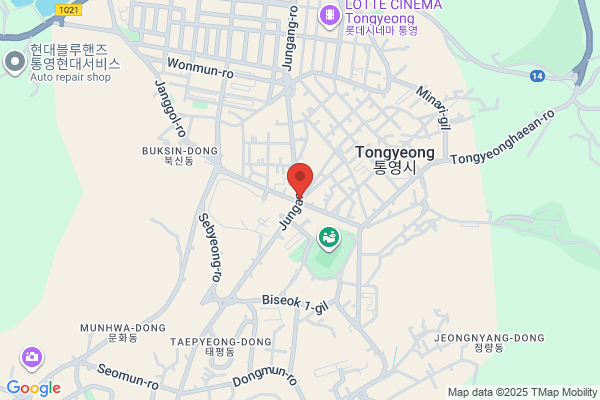 Tong Ly