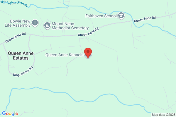 Queen Anne Kennels