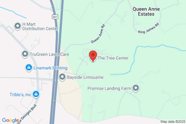 The Tree Center