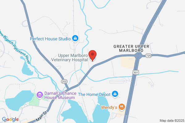 Upper Marlboro Veterinary Hospital