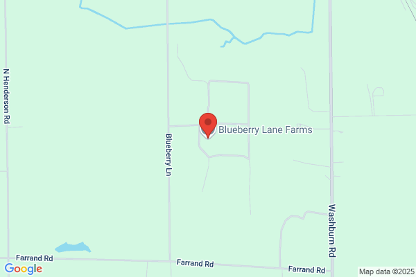 Blueberry Lane