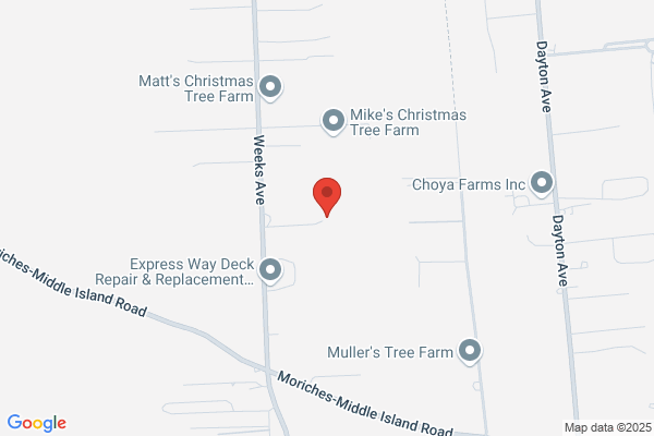 Econo-Tree Experts Inc
