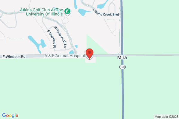 A & E Animal Hospital