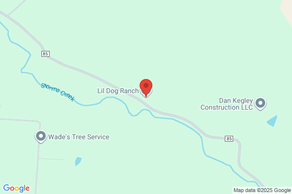 Loyal Paw Kennels
