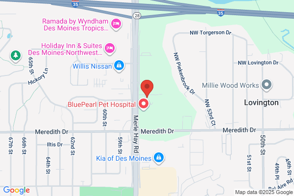 Blades Massage Therapy