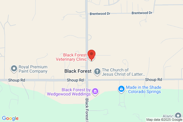 Black Forest Veterinary Clinic