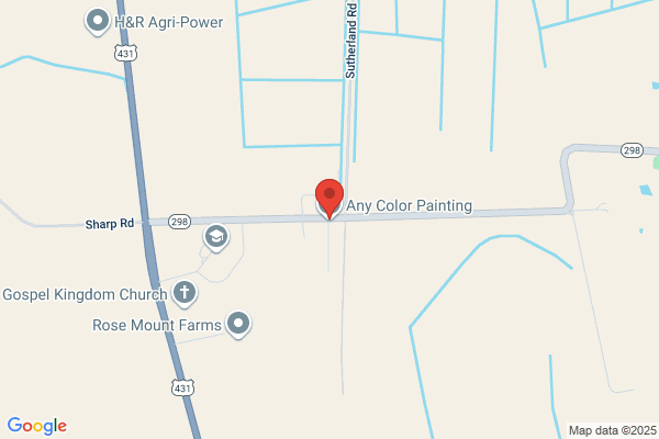 Any Color Painting
