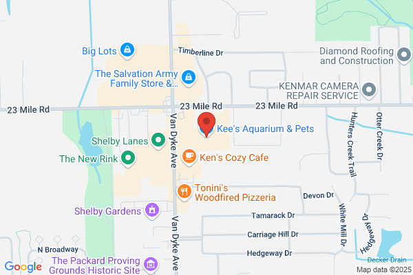 Kee's Aquarium & Pets