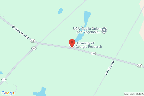 Georgia State Government, University of Georgia, Research