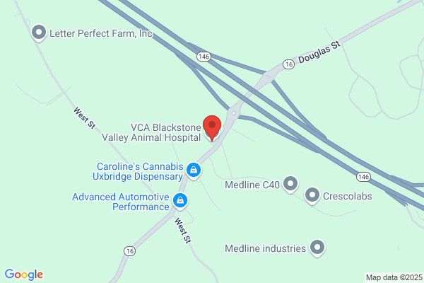 VCA Blackstone Valley Animal Hospital